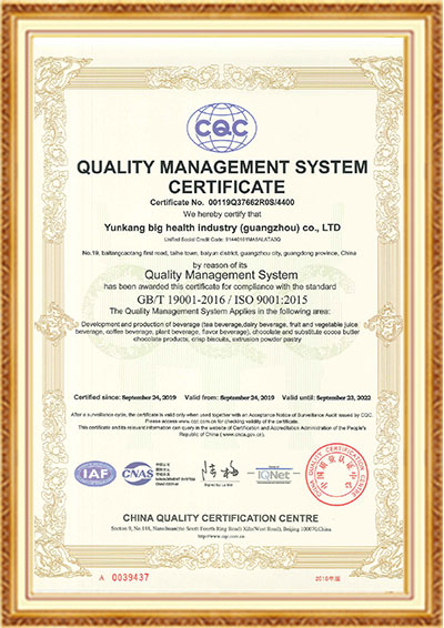 云康ISO9001（英文）